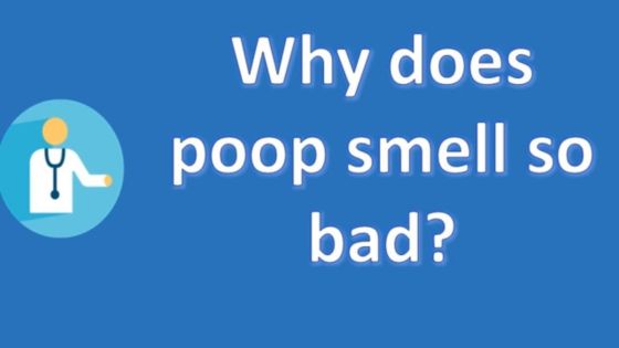 Why Does My Poop Smell Like Burnt Hair