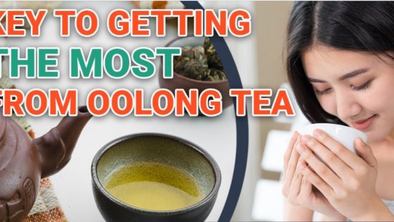 best oolong tea for weight loss
